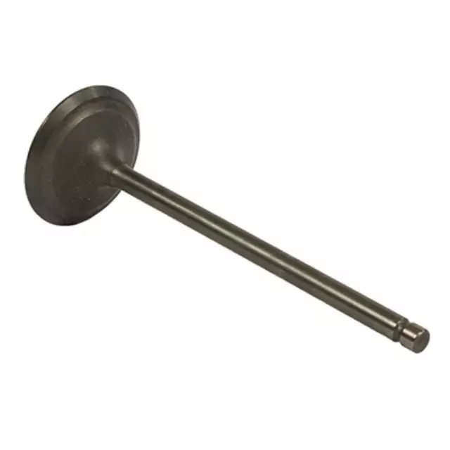 Intake Valve - Ford (6C1Z-6507-A)