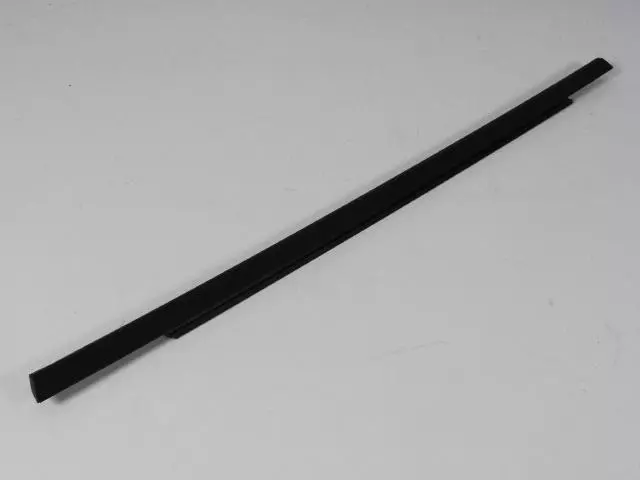 Rear Door Belt Weatherstrip, Right - Mopar (55399116AC)