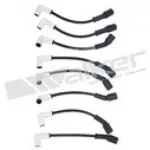 9246008 - : ThunderCore PRO 924-6008 Spark Plug Wire Set for Walker Products Inc. - Image