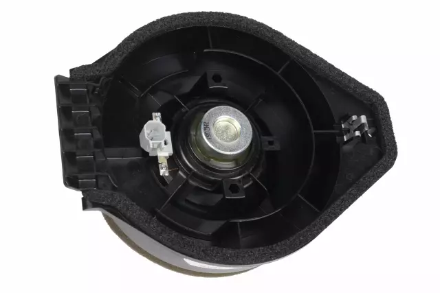 20760439 - Body: Rear Dr Speaker for GM Image