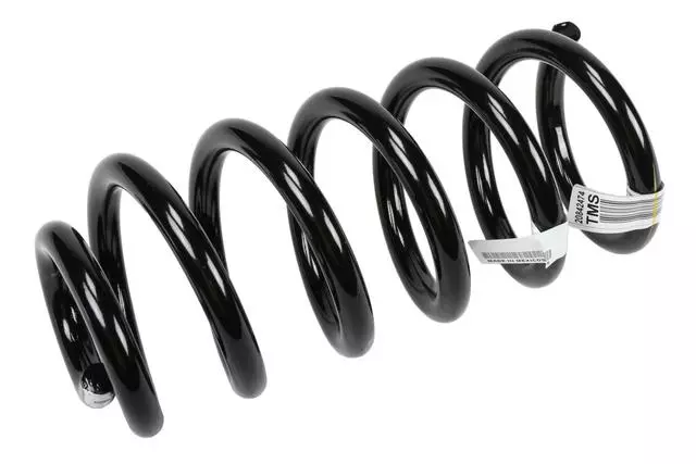 20842474 - Suspension: Coil Spring for GM Image