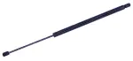 610701 - : Liftgate Lift Support for Tuff Support Image