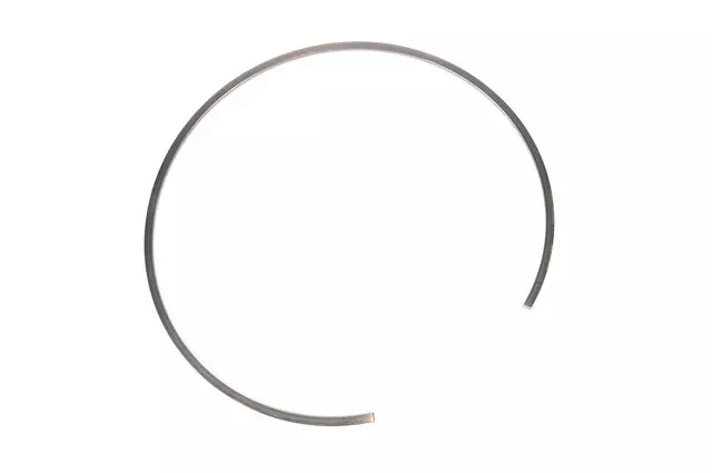 24044207 - : F (S)Ring for GM Image