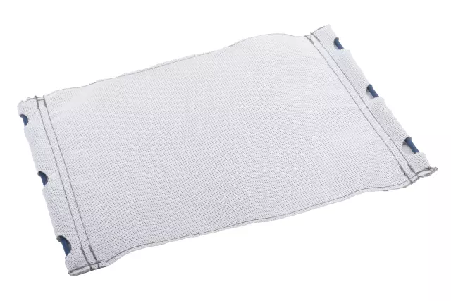 15899607 - Body: Support for GM Image