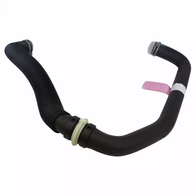 2L1Z8286AB - Cooling System: Lower Hose for Ford: Expedition | Lincoln: Navigator Image