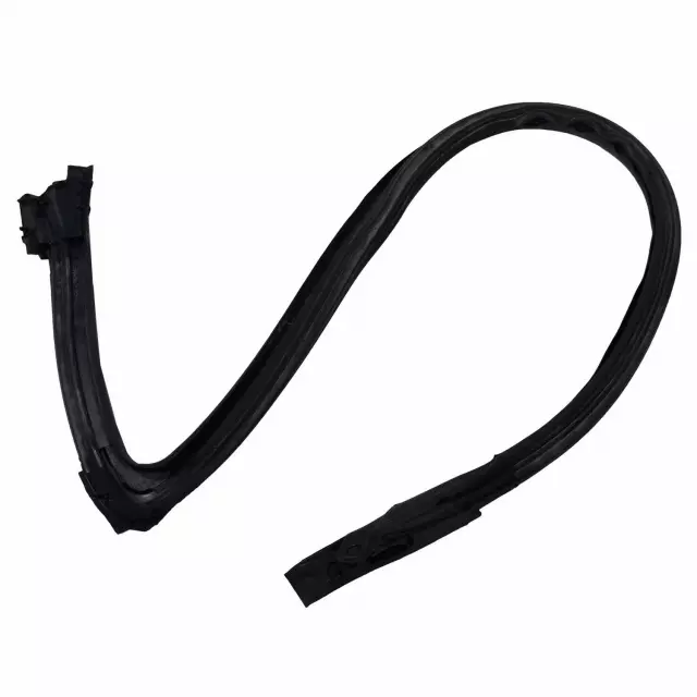 3R3Z6320556AA - Body: Weatherstrip for Ford: Mustang Image