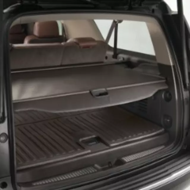 Cargo Area Security Enclosure - GM (22936587)