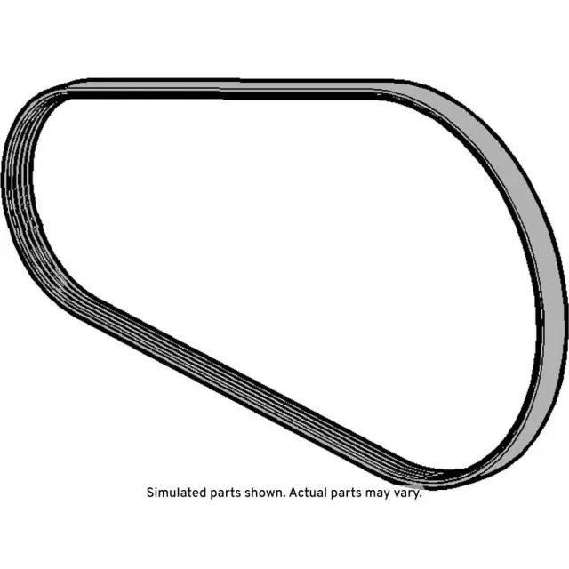 12679333 - : V-Ribbed Serpentine Belt for GM Image