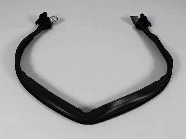 Windshield To Cowl Weatherstrip - Mopar (55395241AI)