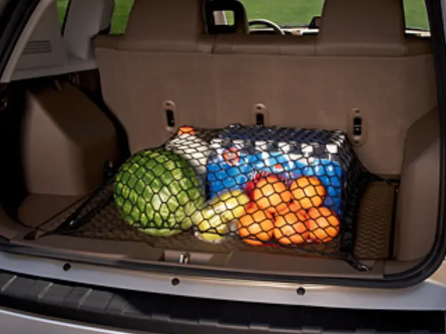 82210538AB - : Cargo Net for Mopar Image