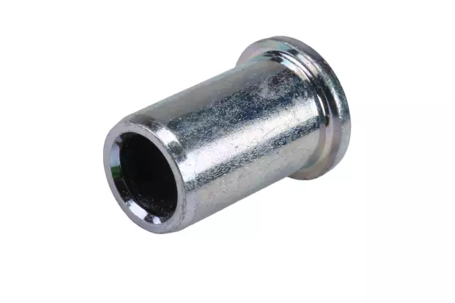 F (S)Plug - GM (94580525)
