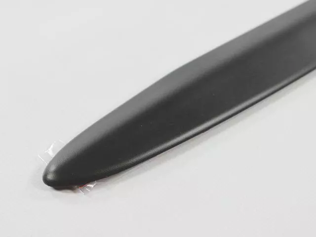 55077174AB - Exterior Ornamentation: Front Door Molding for Mopar Image