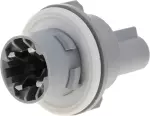 262439B91B - : Signal Bulb Socket for Nissan: Altima, Kicks, Kicks Play, LEAF, Sentra, Versa, Versa Note Image