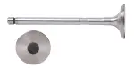 V4345 - : Engine Exhaust Valve for Enginetech Image