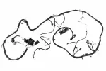 84725348 - : Chassis Wiring Harness for GM Image