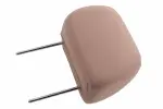 20757994 - Body: Headrest for GM Image