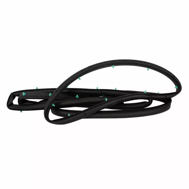 DS7Z5420530C - Body: Door Weather-strip for Ford: Fusion, Police Responder Hybrid, SSV Plug-In Hybrid Image
