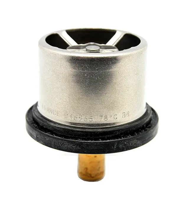 THS1696579 - : Thermostat for VERNET Image