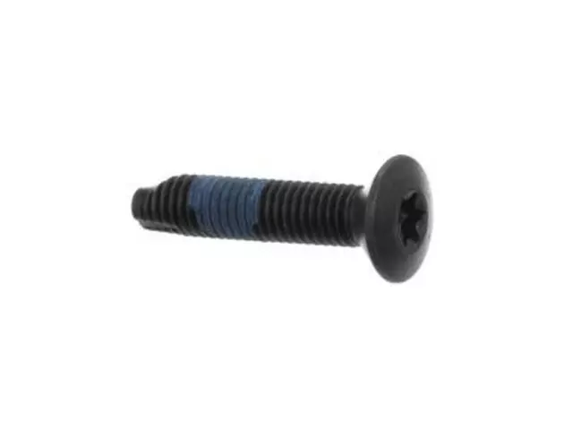 Striker Screw - Ford (W710881-S900)
