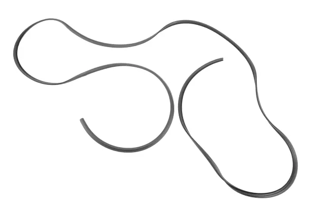 Sunroof Window Seal - GM (84099720)
