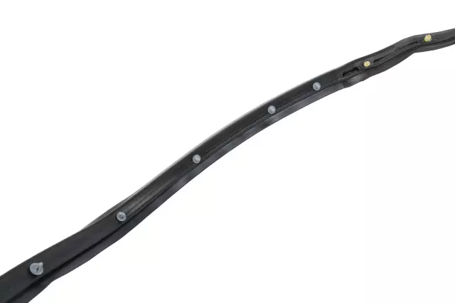 Rear Driver Side Door Weatherstrip - GM (84028332)
