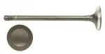 EM3303 - : Engine Exhaust Valve for Enginetech Image