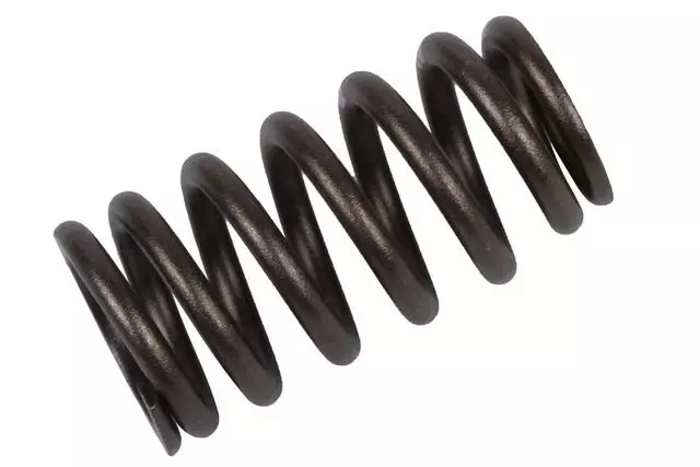 55569929 - : Engine Valve Spring for Chevrolet: Cruze, Equinox | GMC: Terrain Image