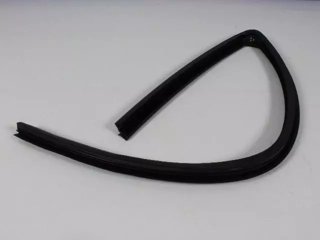 Rear Door Seal, Left - Mopar (55276165AH)