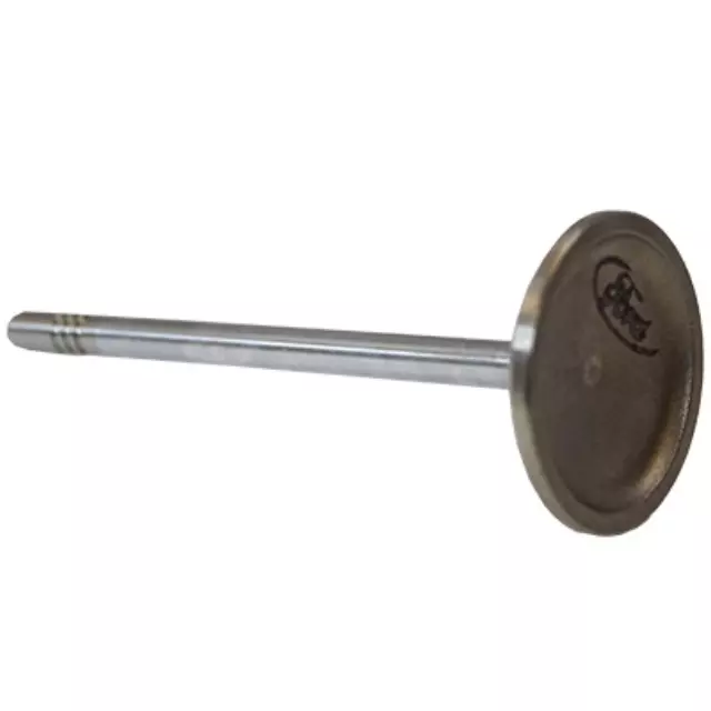 Engine Intake Valve - Ford (XL3Z-6507-AA)