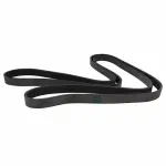 JK61007B - : Motorcraft™ Serpentine Belt for Ford: F-450 Super Duty, F-550 Super Duty Image