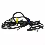 HC3Z14405RS - : Wiring Assembly Rear Lamps for Ford Image