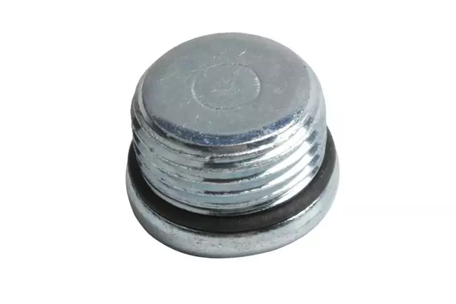 Transmission Oil Plug - GM (89059590)
