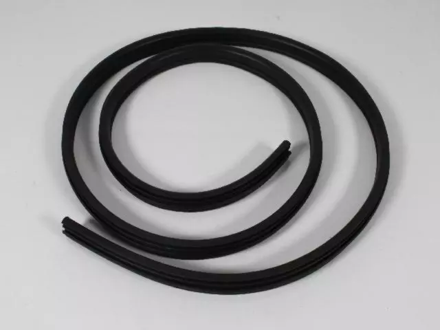 Rear Door Seal - Mopar (55396700AI)