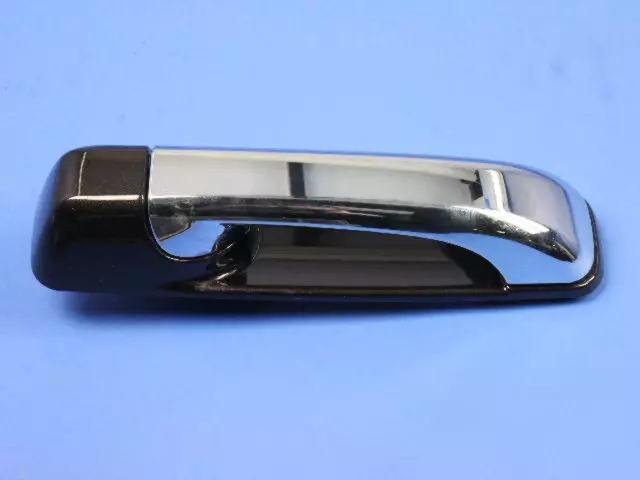 1GH261TWAG - Doors, Door Mirrors and Related Parts: Exterior Door Handle, Right for Mopar Image