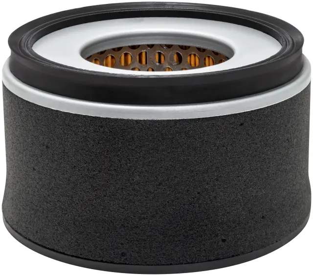 PA4737 - : Air Element with Foam Wrap for Baldwin Image