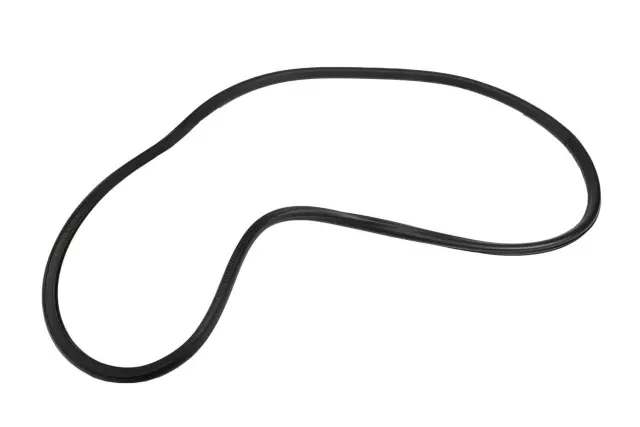 20993866 - : Front Side Door Weatherstrip for Chevrolet: Volt Image