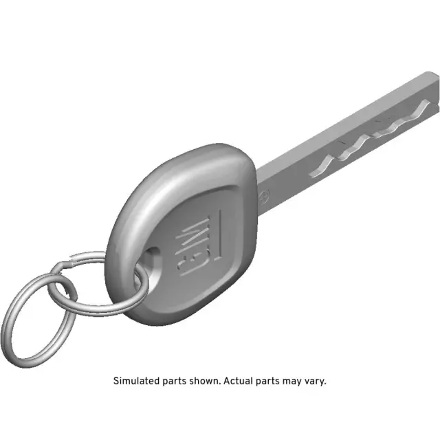 13531095 - : Door Lock And Ignition Lock Key for GM Image