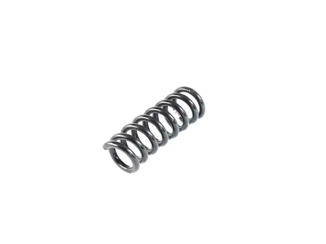 68406030AB - Rear Suspension: Rear Coil Spring, Right for Dodge: Challenger, Charger Image