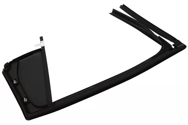 Rear Passenger Side Door Window Weatherstrip - GM (84087980)