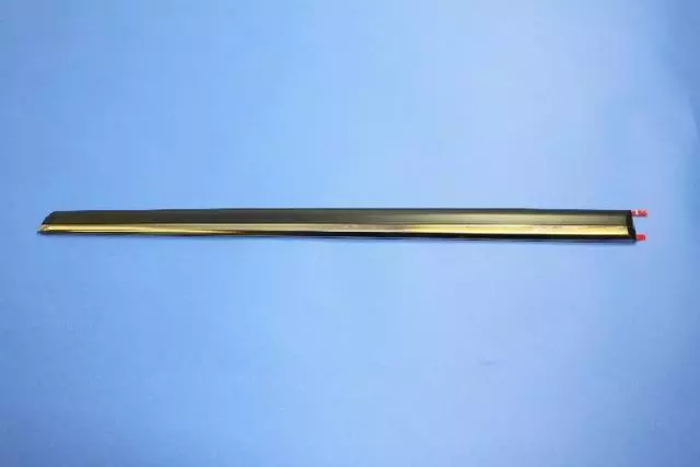 1DX25TZZAC - Body: Body Side Molding for Chrysler: 300 | Dodge: Charger Image