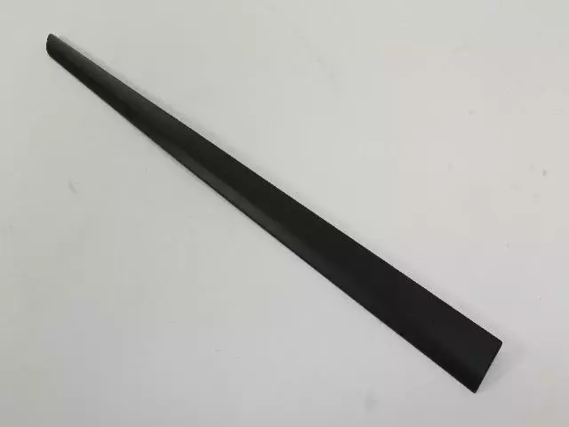 Molding - Mopar (1EX40TZZAB)