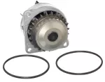 2101031U85 - : Water Pump for Nissan: Maxima, Pathfinder Image