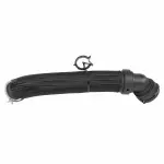 KM6656 - Belts &amp; Cooling: Motorcraftâ„¢ Radiator Coolant Hose for Ford: Mustang Image