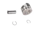 19256946 - : Engine Piston for GM Image