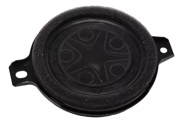 Radio Front Side Door Upper Speaker - GM (84359359)