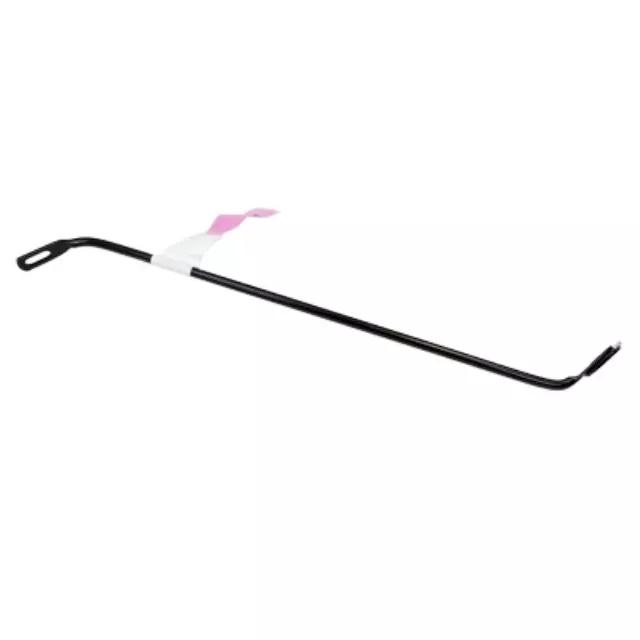 Support Brace - Ford (1C3Z-9928260-AA)