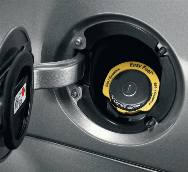 Locking Fuel Plug - Ford (8u5z9c268b)