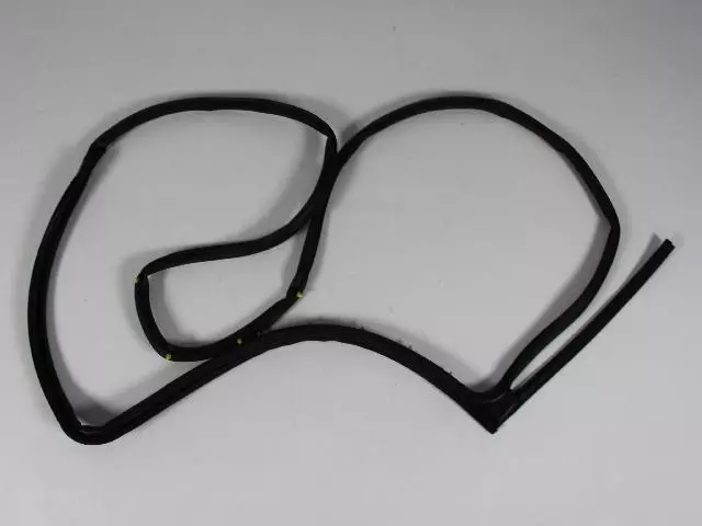 Rear Door Opening Weatherstrip, Right - Mopar (55399186AG)