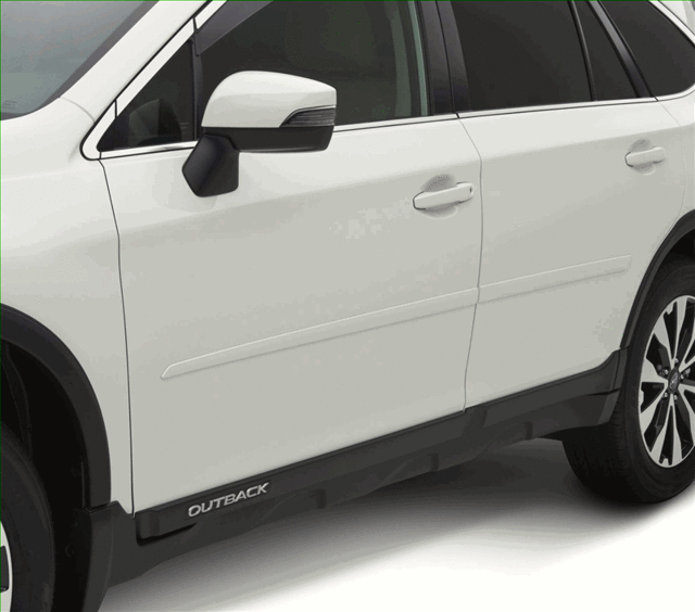 Body Side Molding - Magnetite Gray Metallic - Subaru (J101SAL802M4)