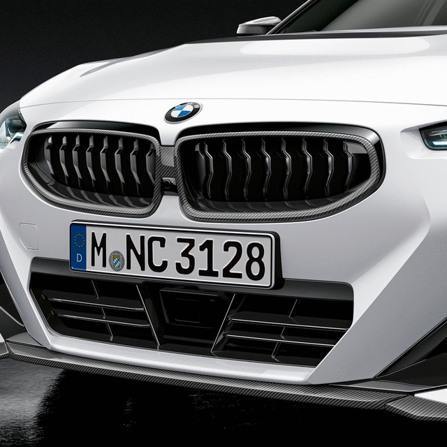 51719627307 - Exterior: M Performance Kidney Grille - Carbon Fiber for BMW Image